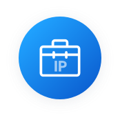 No more worry about the cost and management of RIR membership because IP addresses will be assigned to you from Larus's pool.
