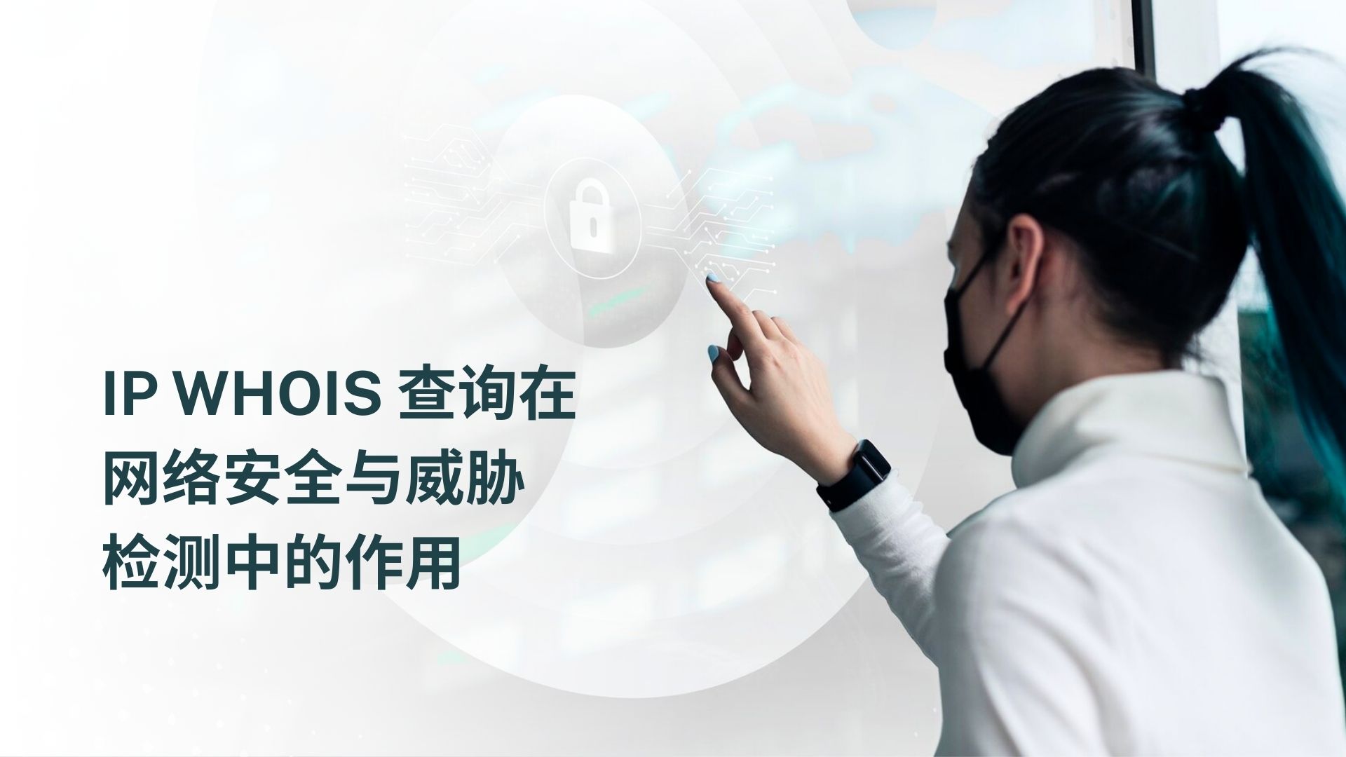 IP WHOIS 查询在网络安全与威胁检测中的作用- LARUS